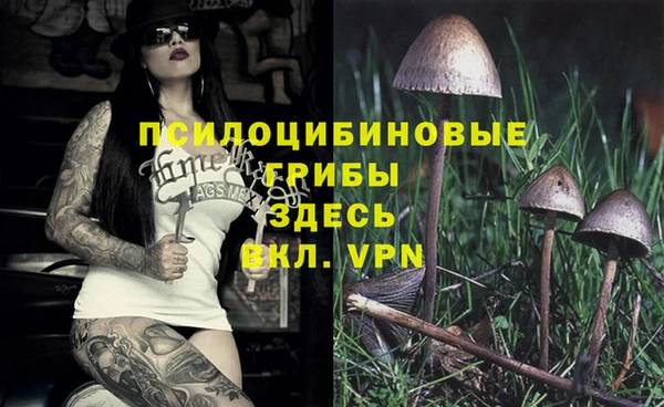 тгк Белокуриха