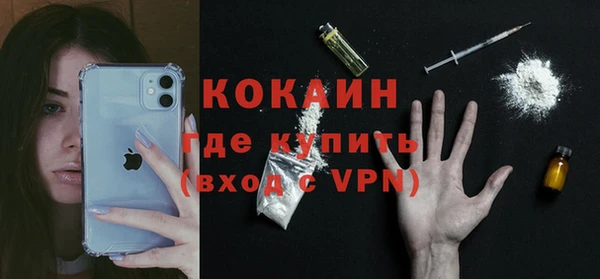 дживик Сосновый Бор