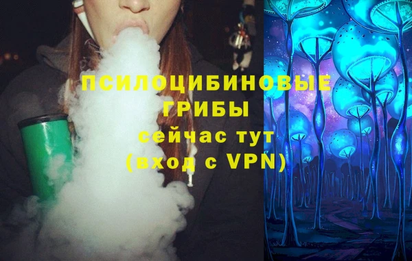 тгк Белокуриха