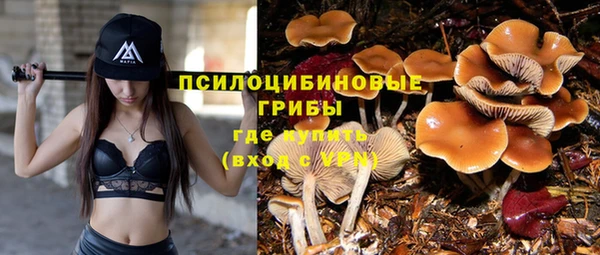 таблы Сосновоборск