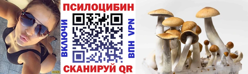 где купить наркотик Славгород Псилоцибиновые грибы мицелий