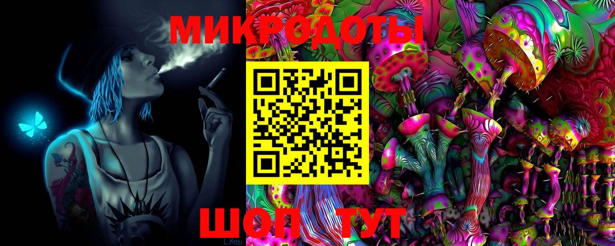 Галлюциногенные грибы Cubensis Славгород