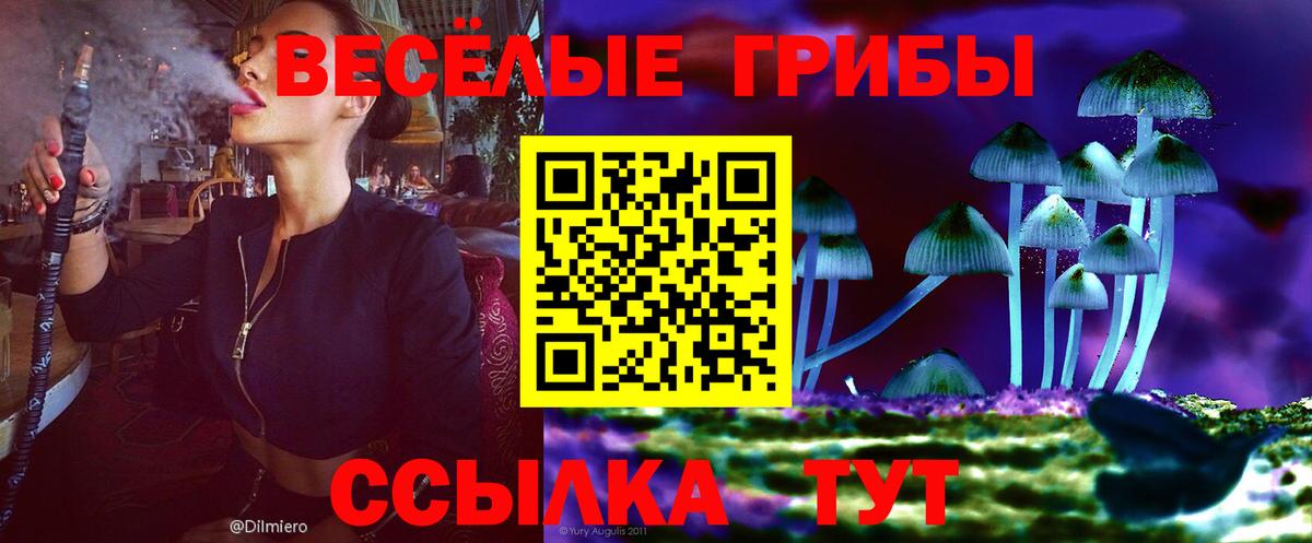 Галлюциногенные грибы Psilocybe  Вход с VPN  Славгород  Галлюциногенные грибы ЛСД 