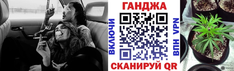 Шишки марихуана планчик  Славгород 
