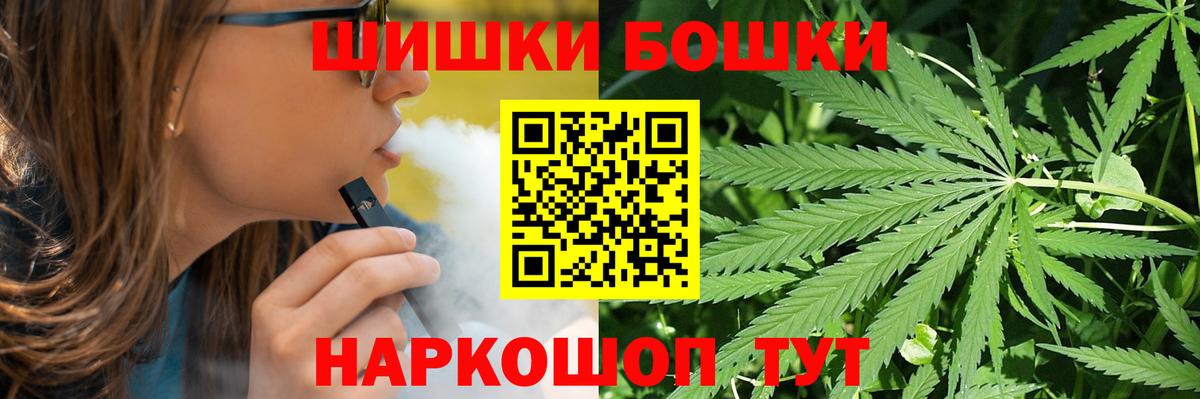 Канабис сатива Славгород